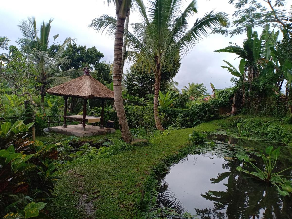 Jero Tumbuk Private Villa Selat Kültér fotó