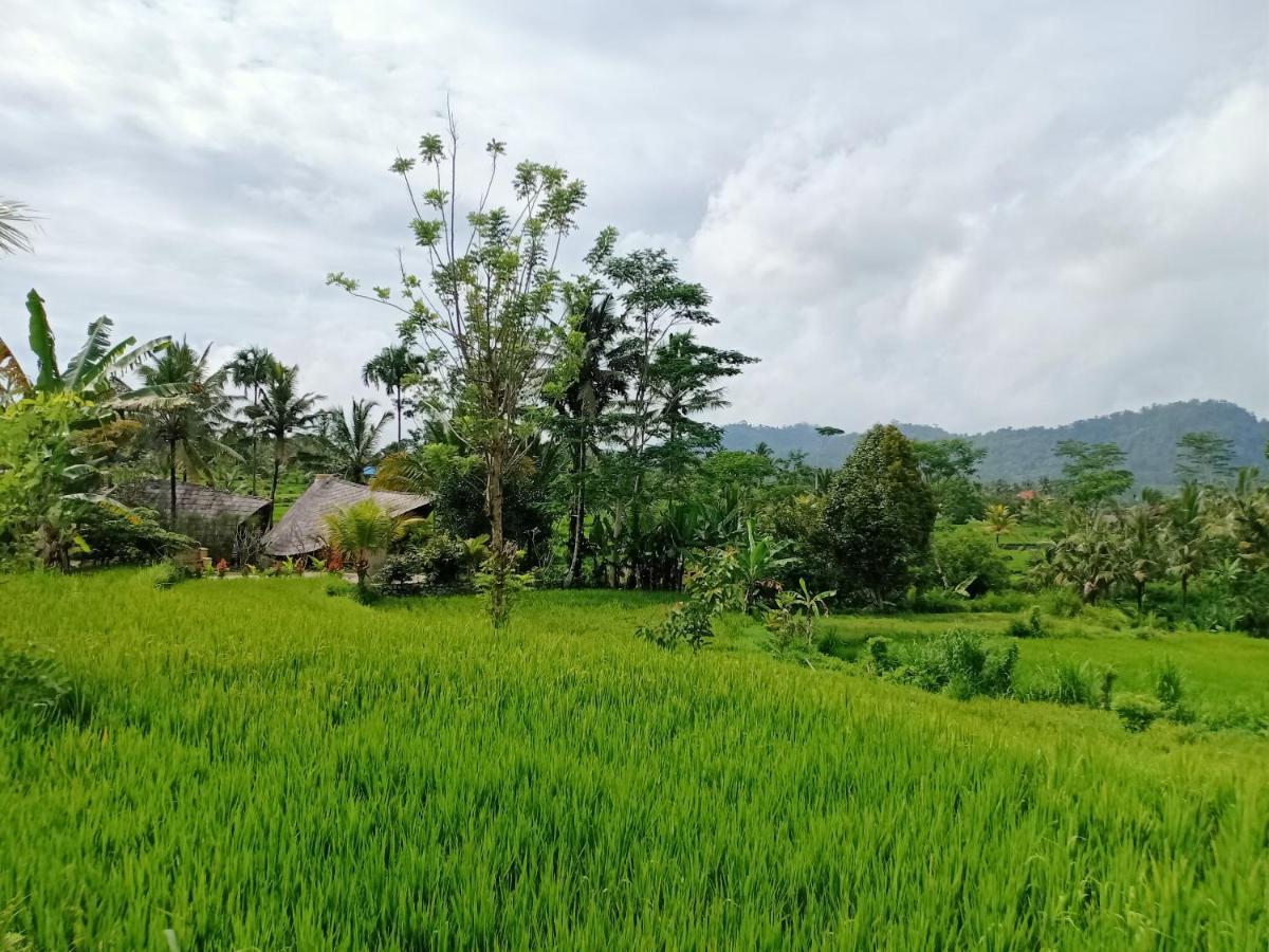 Jero Tumbuk Private Villa Selat Kültér fotó