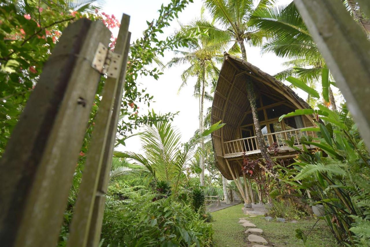 Jero Tumbuk Private Villa Selat Kültér fotó