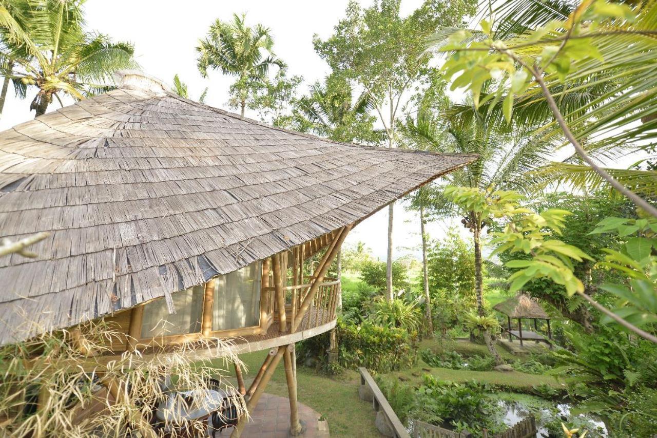 Jero Tumbuk Private Villa Selat Kültér fotó