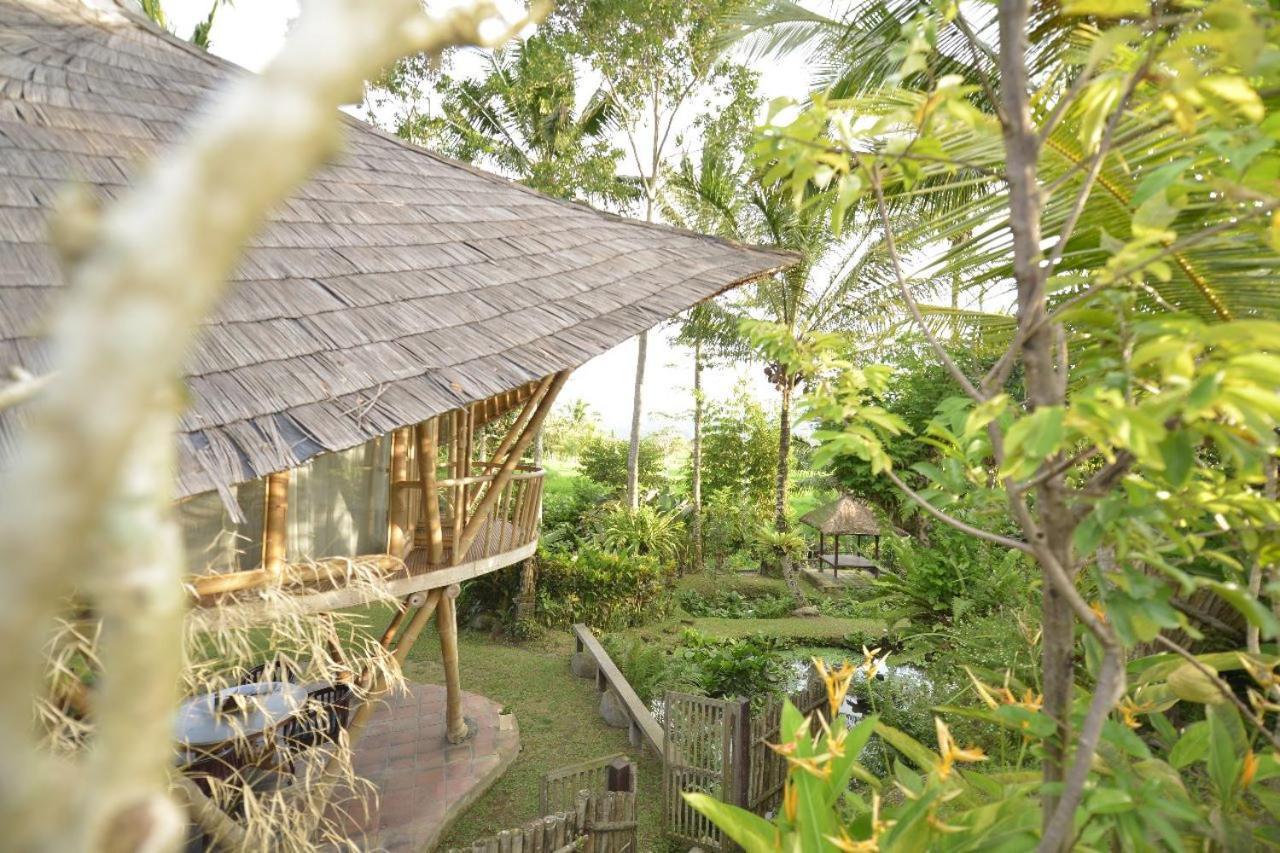 Jero Tumbuk Private Villa Selat Kültér fotó