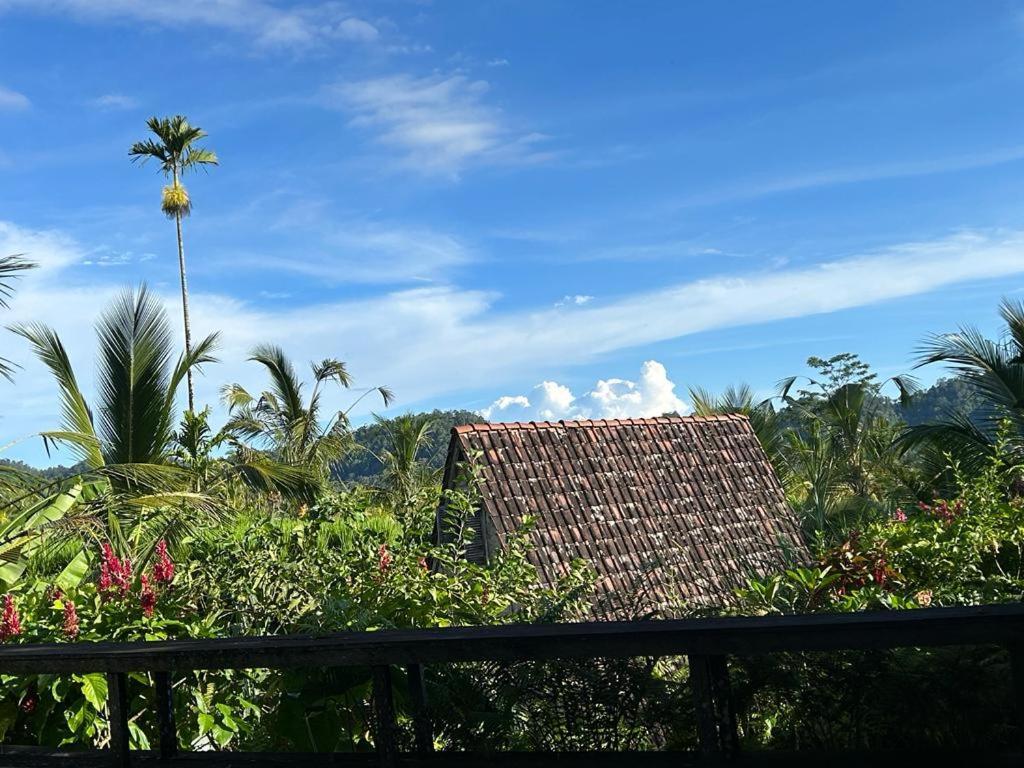 Jero Tumbuk Private Villa Selat Kültér fotó