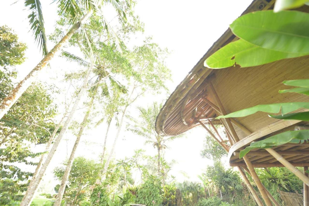 Jero Tumbuk Private Villa Selat Kültér fotó