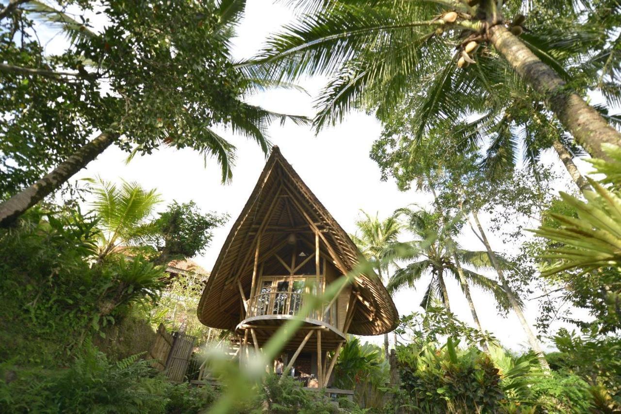 Jero Tumbuk Private Villa Selat Kültér fotó